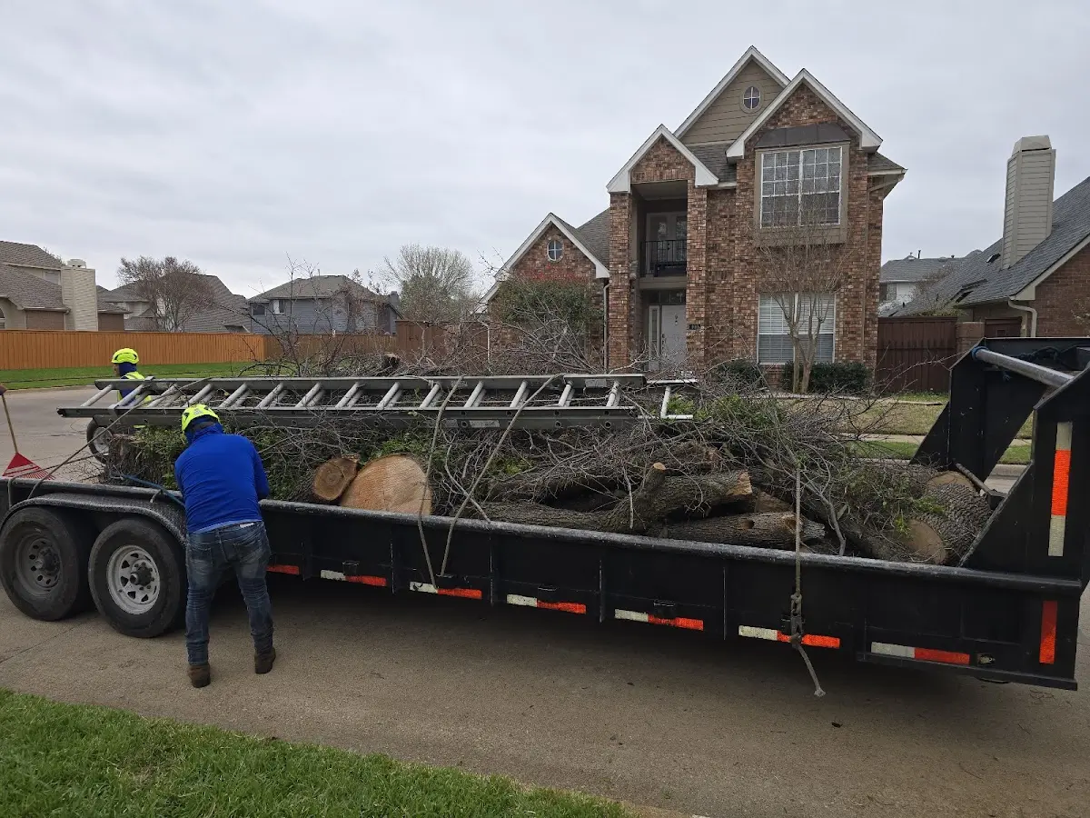 Expert Tree Fertilization with proper safety equipment in Henry